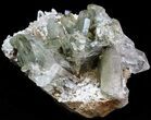 Anatase and Chlorite Quartz - Pakistan #38661-2